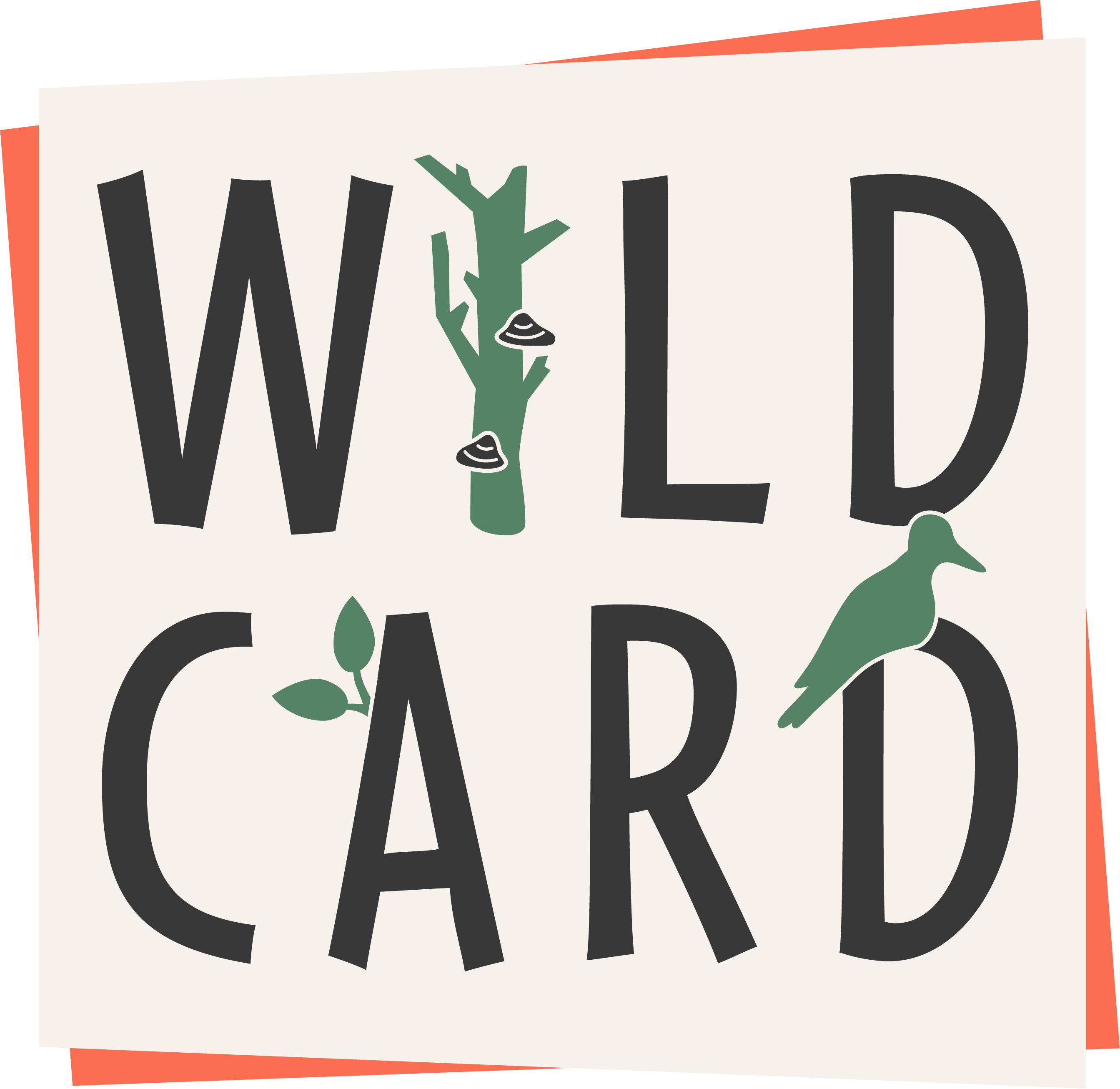 WILDCARD